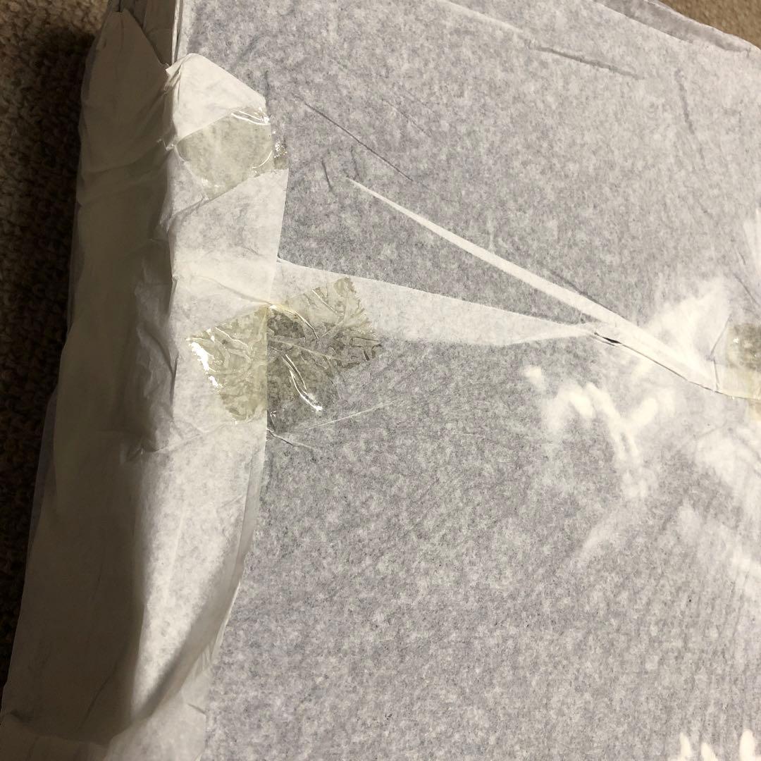 ホットトイズ　ブルースリー　ボーナス素体付き