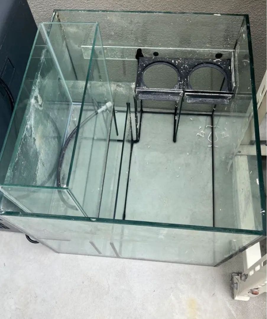 ○水無月さん限定○レッドシーリーファー２５０　ホワイト　水槽のみとサンプセット