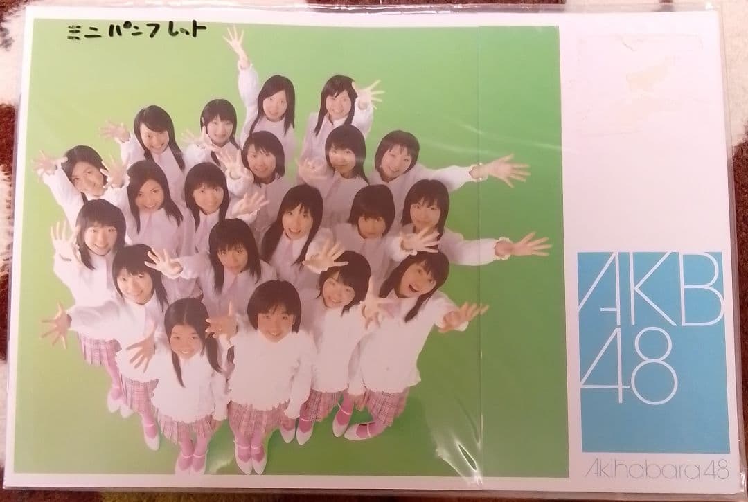 AKB48　1期生　ミニパンフレット　希少品　入手困難　レア　アイドル　IDOL