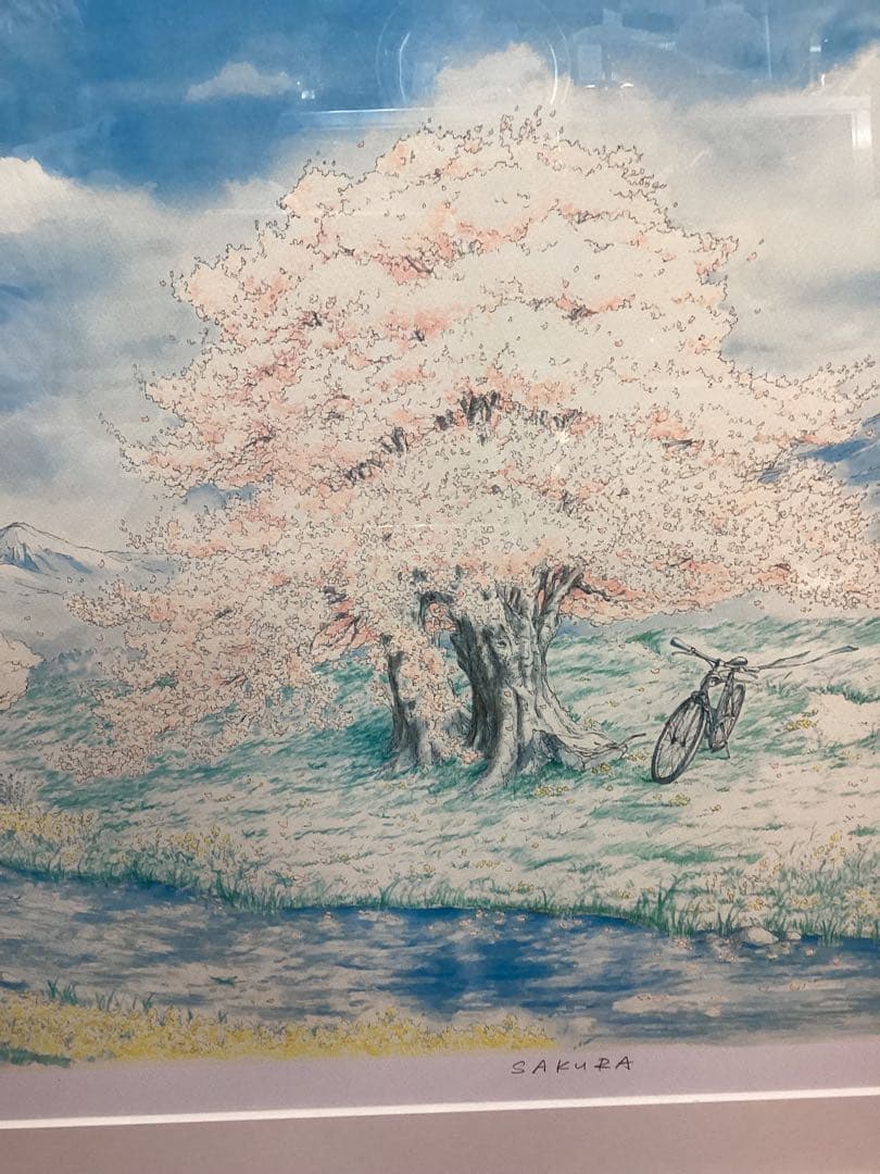 真作保証　内田新哉　SAKURA　裏書き　直筆サイン入　20号