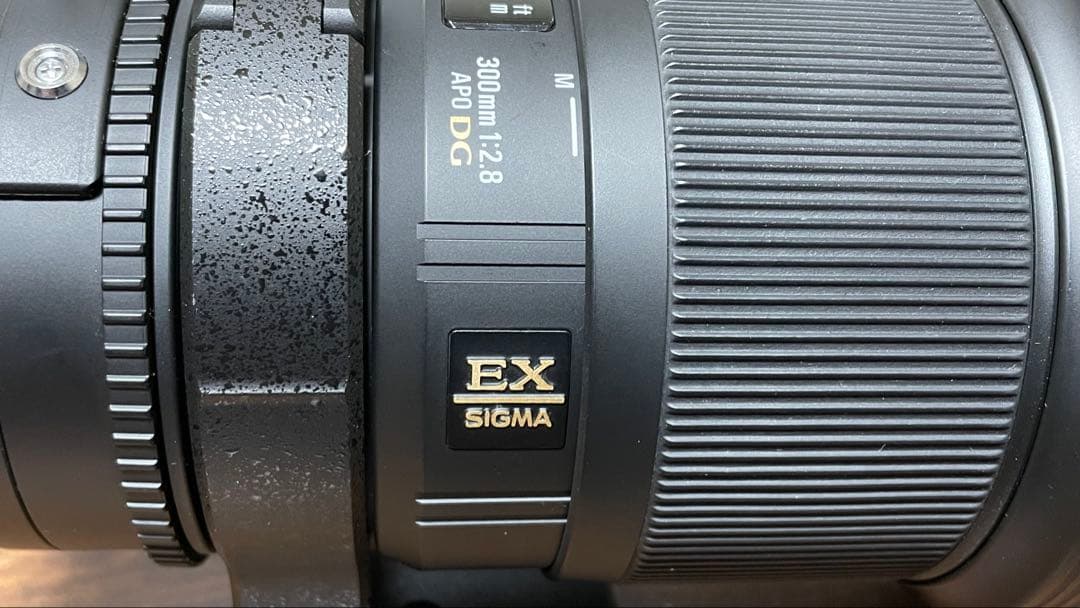 【推しが渋滞(〃ω〃)整理中】SIGMA APO 300mm F2.8