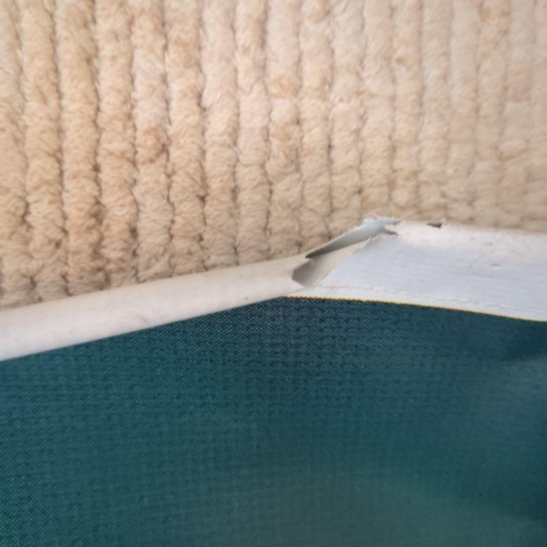 ディズニー ポカホンタス ポスター　タペストリー　壁掛け