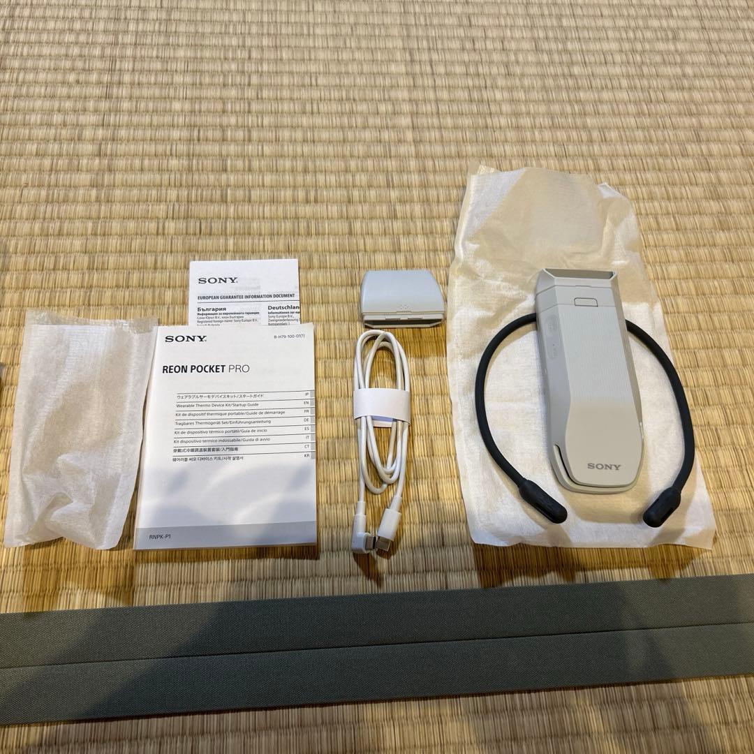 その他 SONY REON POCKET PRO
