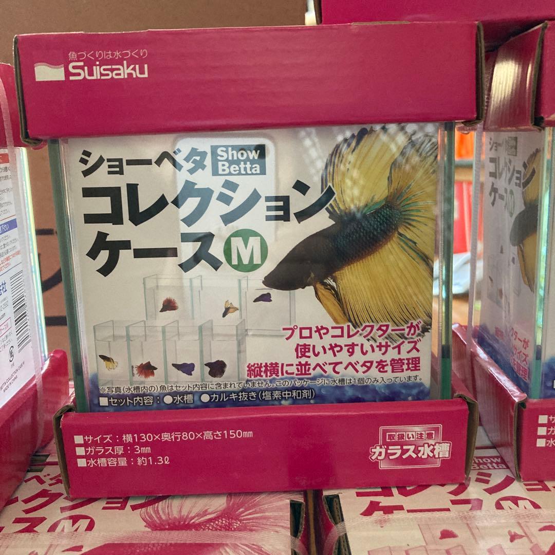 Suisaku ショーベタ コレクションケース M 12個