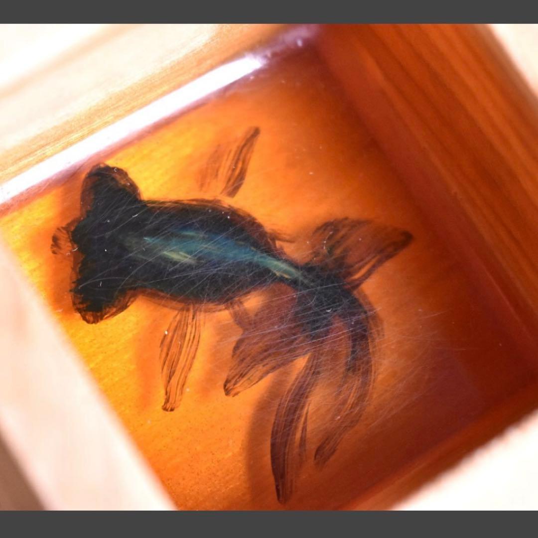 【真作　サイン入り】深堀隆介　金魚酒　2004年制作