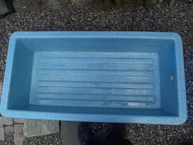 いけす・生け簀・金魚すくい・らんちゅう・睡蓮・水草・ひょうたん池