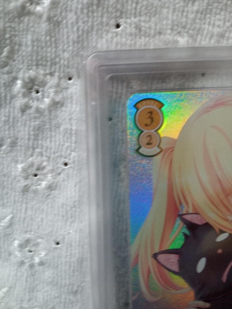 ヴァイスロゼ SSP 1000年ぶりの再会 パトリシア＆ノラ ARS 10+