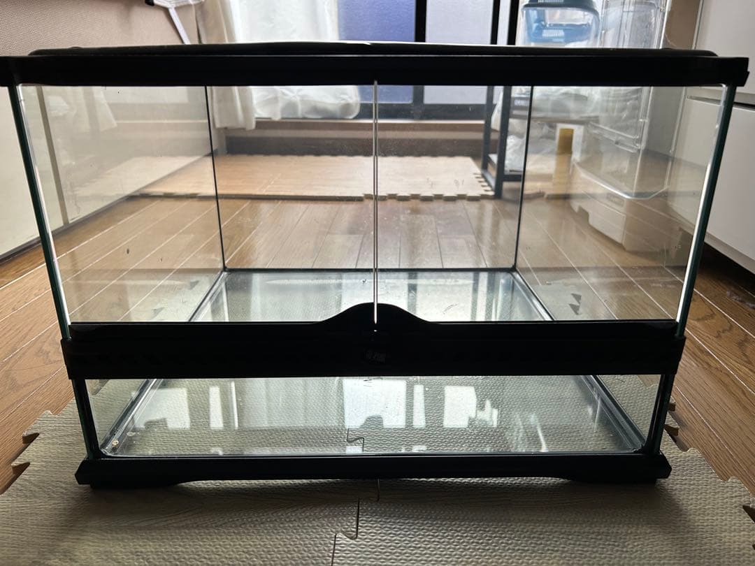 ごま【引き取り限定】爬虫類飼育セット（フトアゴ、レオパ）兵庫県神戸市