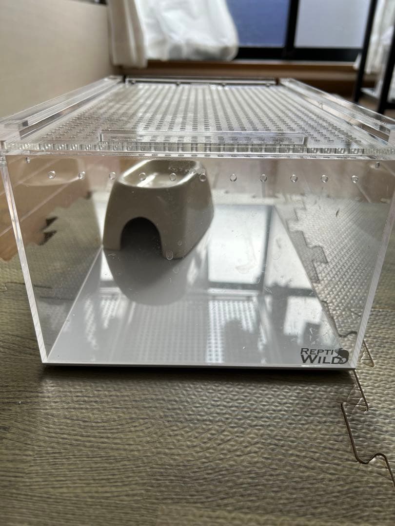 ごま【引き取り限定】爬虫類飼育セット（フトアゴ、レオパ）兵庫県神戸市