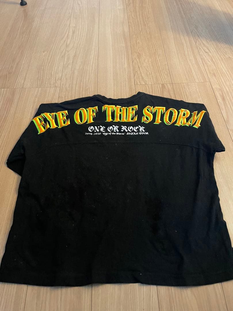 ONE OK ROCK TOUR Tシャツ&ロンT 10枚セット