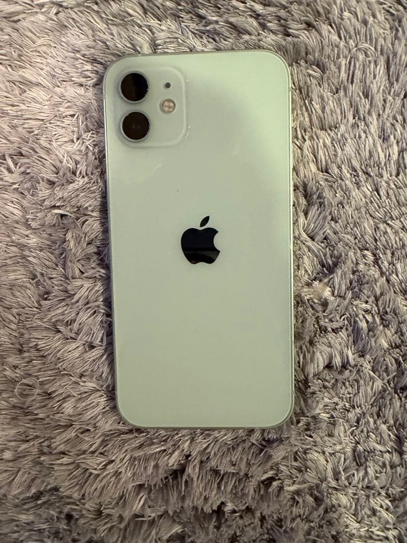 Apple iPhone 12ミントグリーン 本体