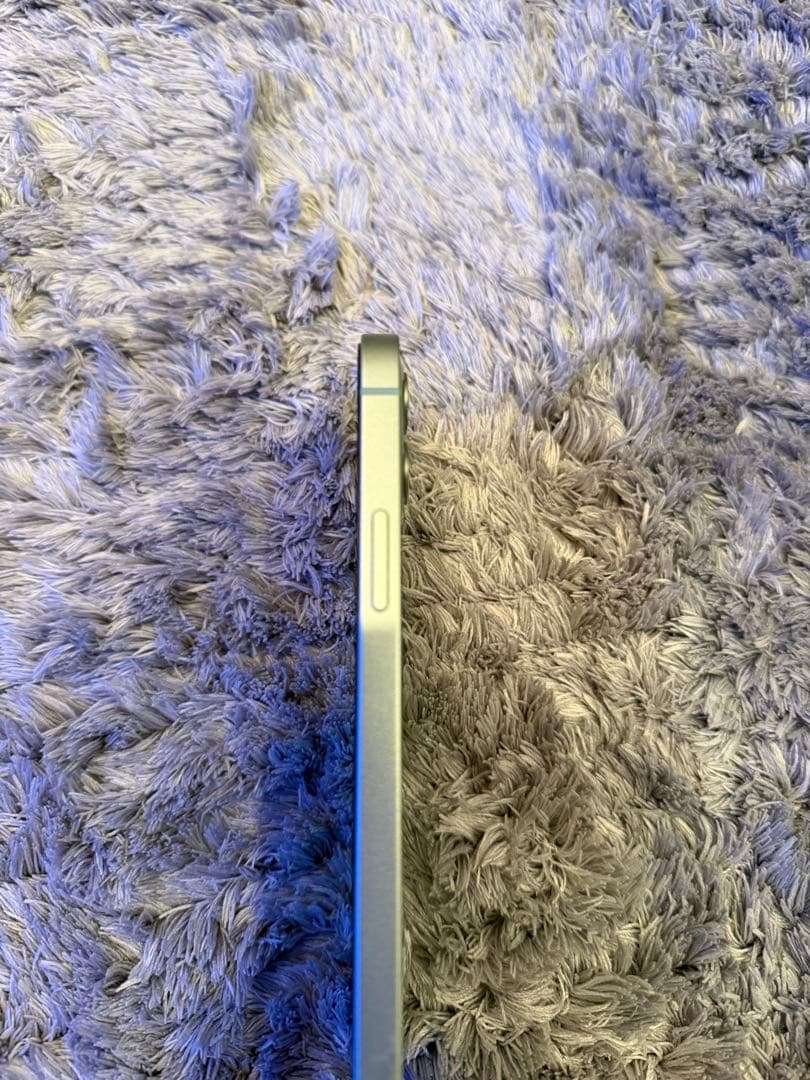 Apple iPhone 12ミントグリーン 本体