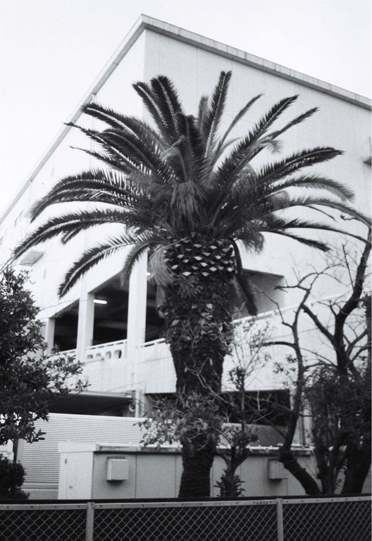 CONTAX T2 シルバー 作例あり 純正ストラップ付 高級フィルムカメラ