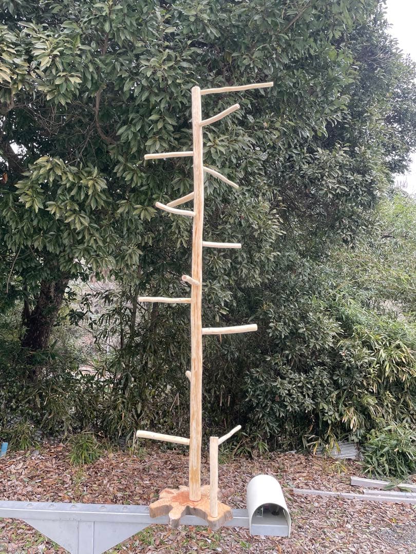 国産ヒノキ　鳥用止まり木　大型スタンド　約147センチ　中型インコ用