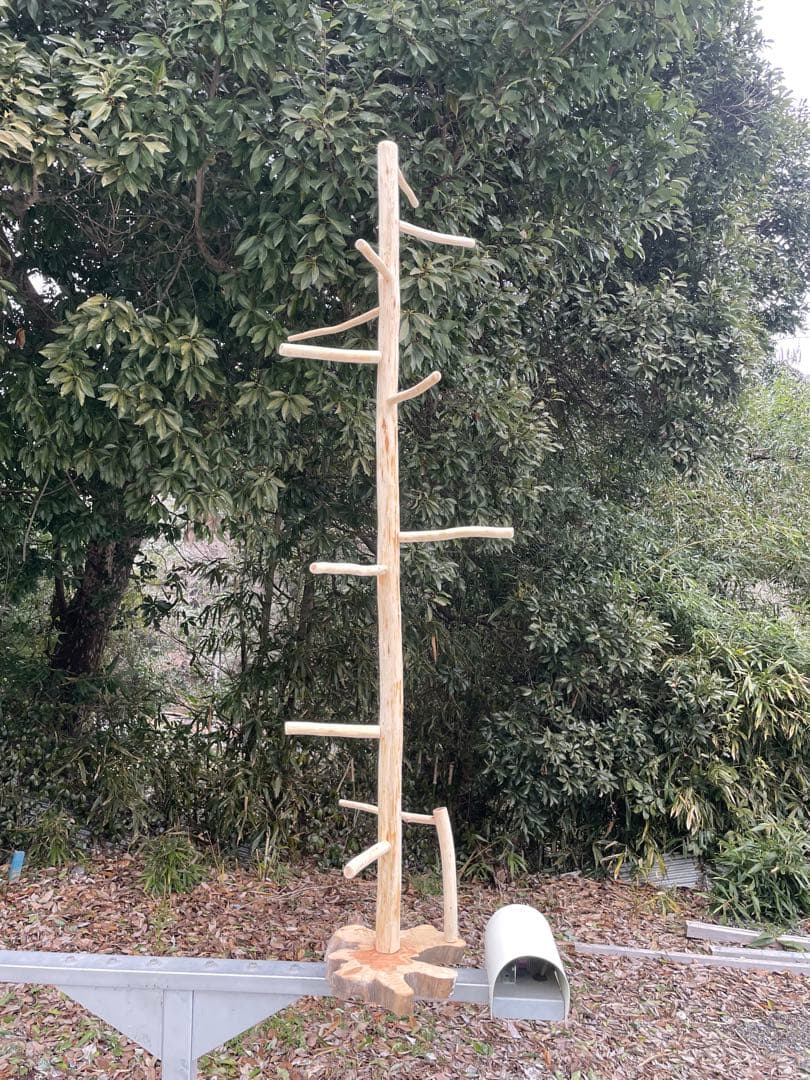 国産ヒノキ　鳥用止まり木　大型スタンド　約147センチ　中型インコ用