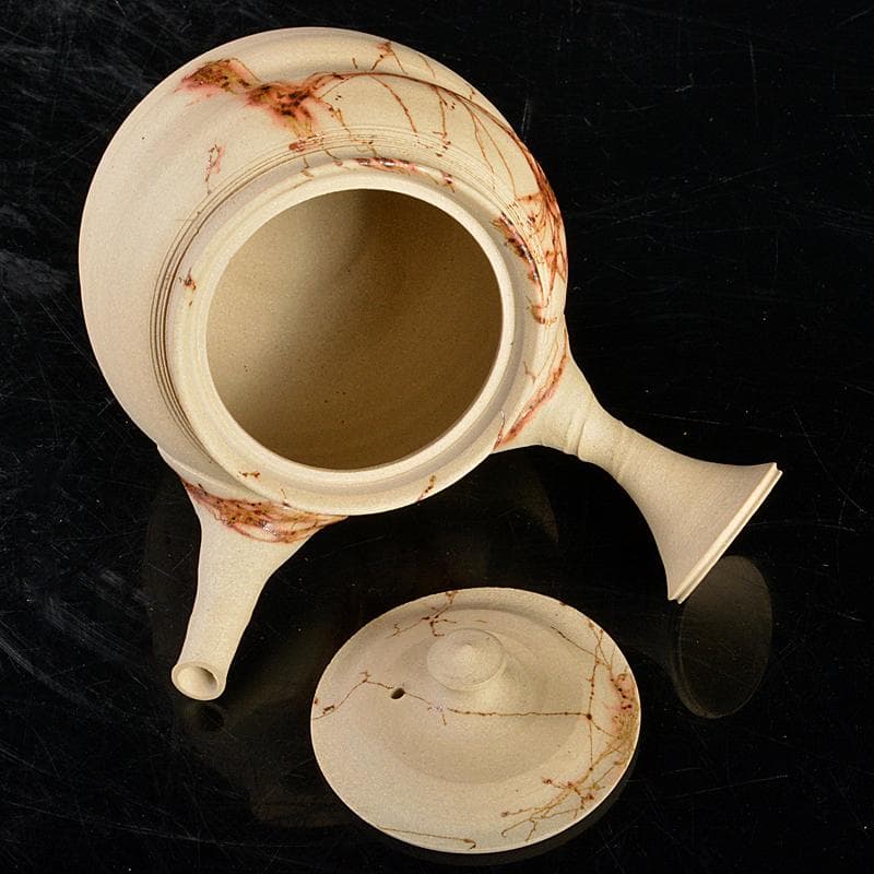 煎茶道具　常滑焼　谷川仁作　白泥藻掛　茶器　急須　茶碗　共箱　D　R5730