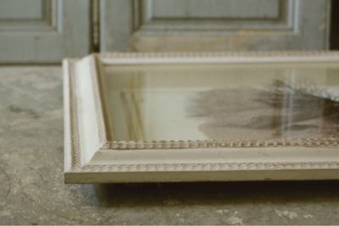 アンティーク標本　貝　珊瑚 海藻　アートフレーム　イタリアフィレンツェ