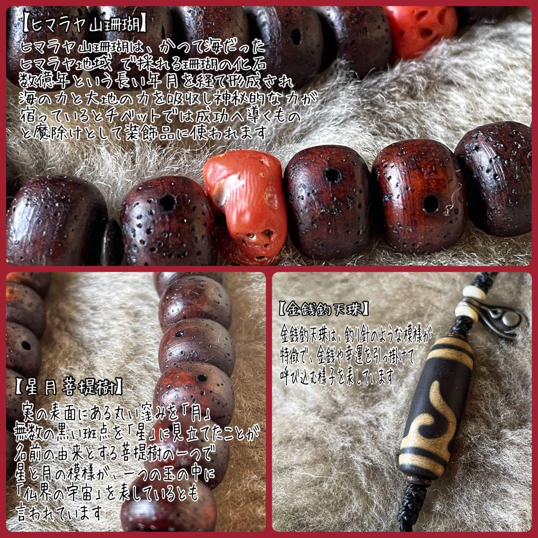 星月菩提樹・山珊瑚/二連数珠型 チベタン ネックレス