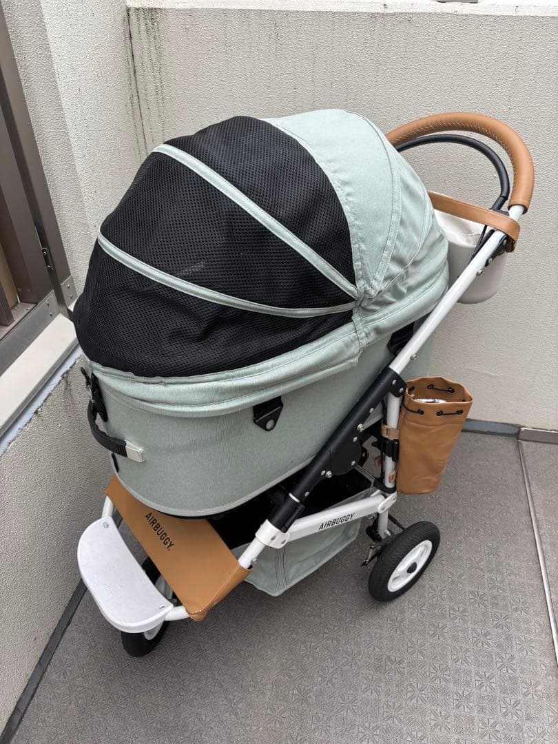 エアバギー グラスグリーン　ラージサイズ　カスタム済み　アクセサリー付き