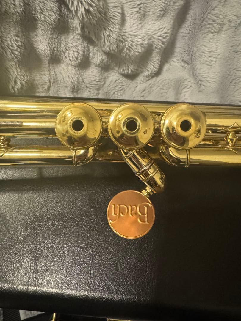 Bach トランペット　NEW YORK #7 GOLD