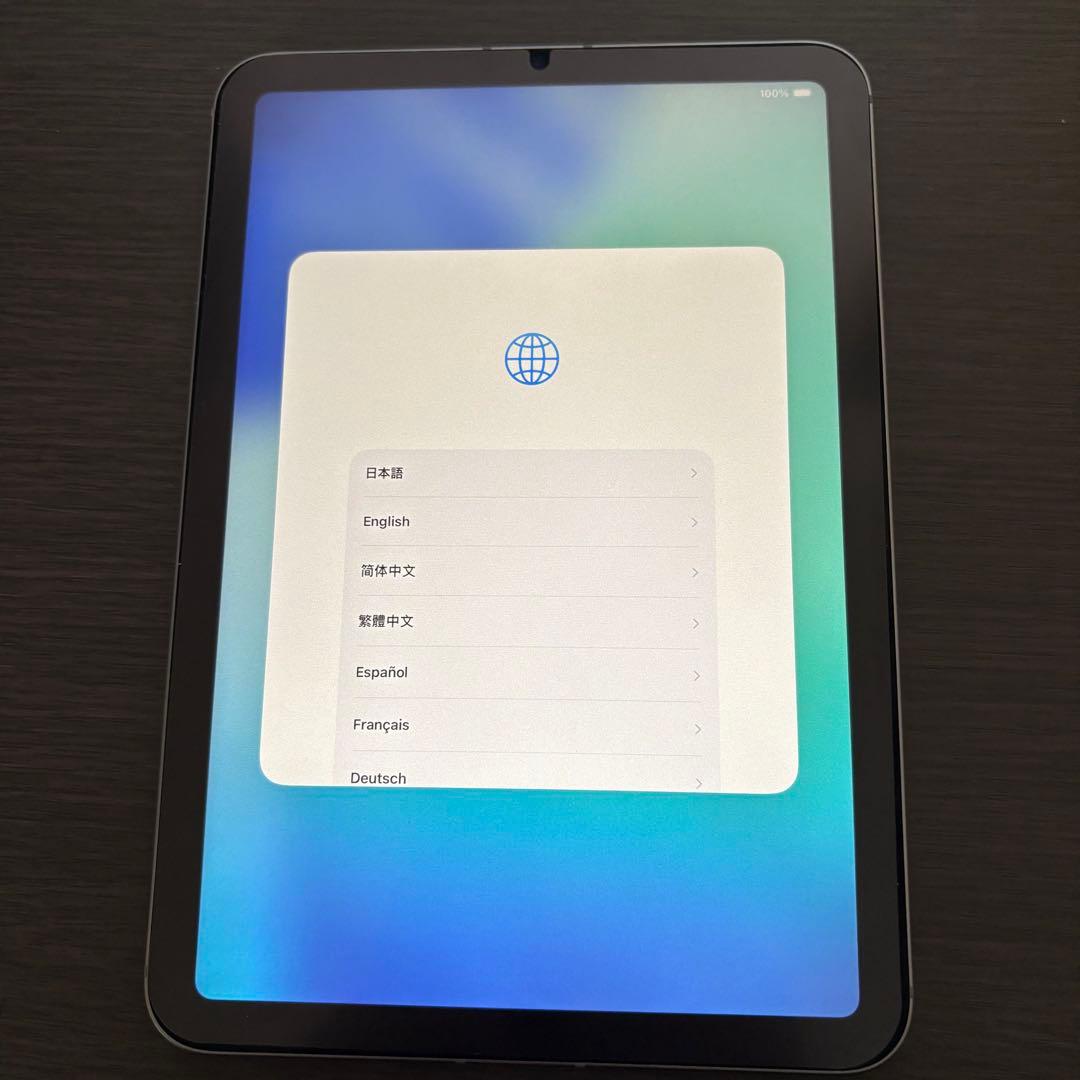 【美品】Apple iPad mini 第7世代セルラーモデル+付属品多数