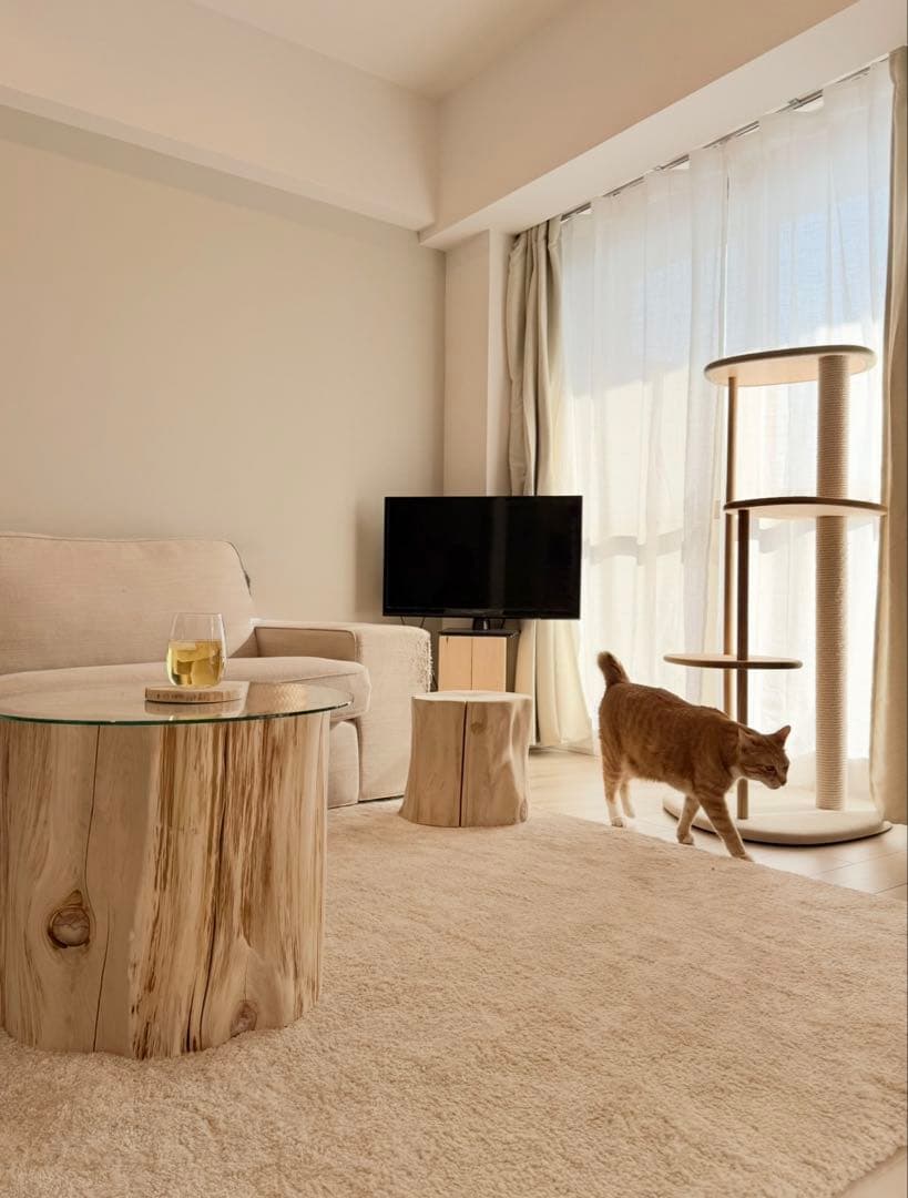 KARIMOKU CAT TREE キャットタワー カリモク