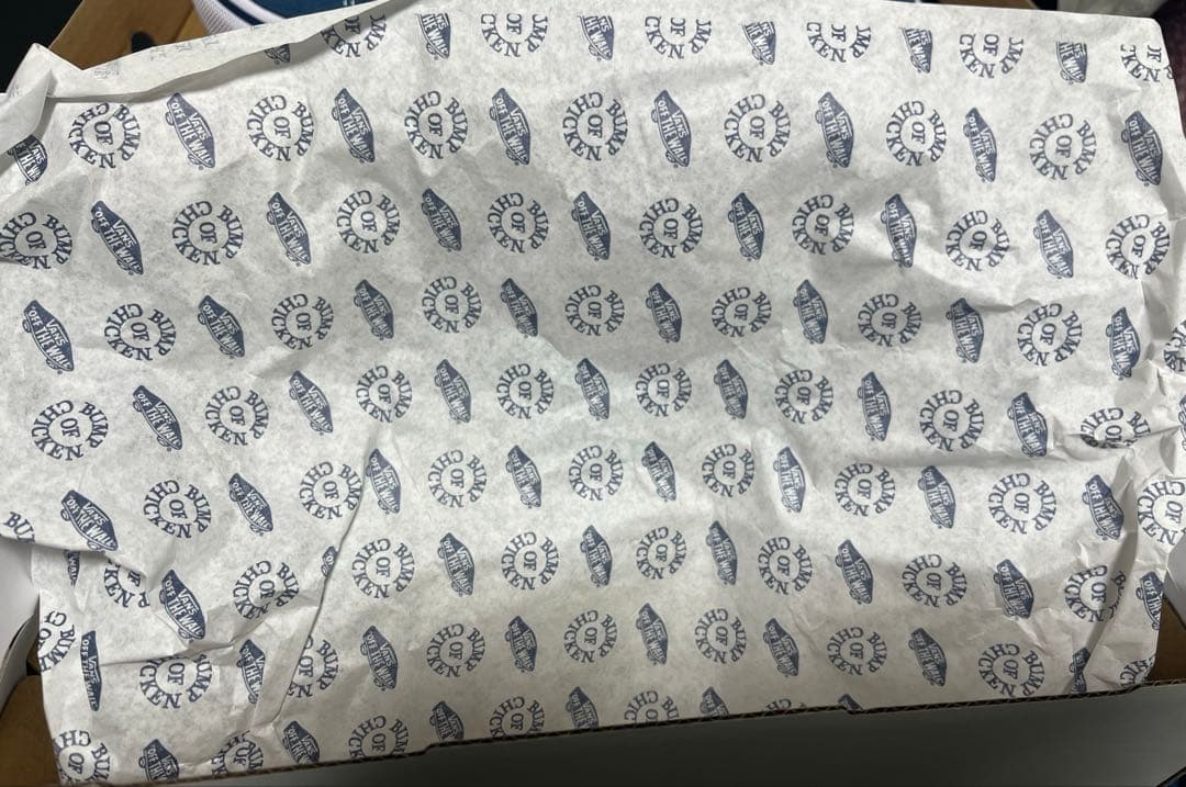 【新品未使用】22.5cm 箱ありVANS × BUMP OF CHICKEN