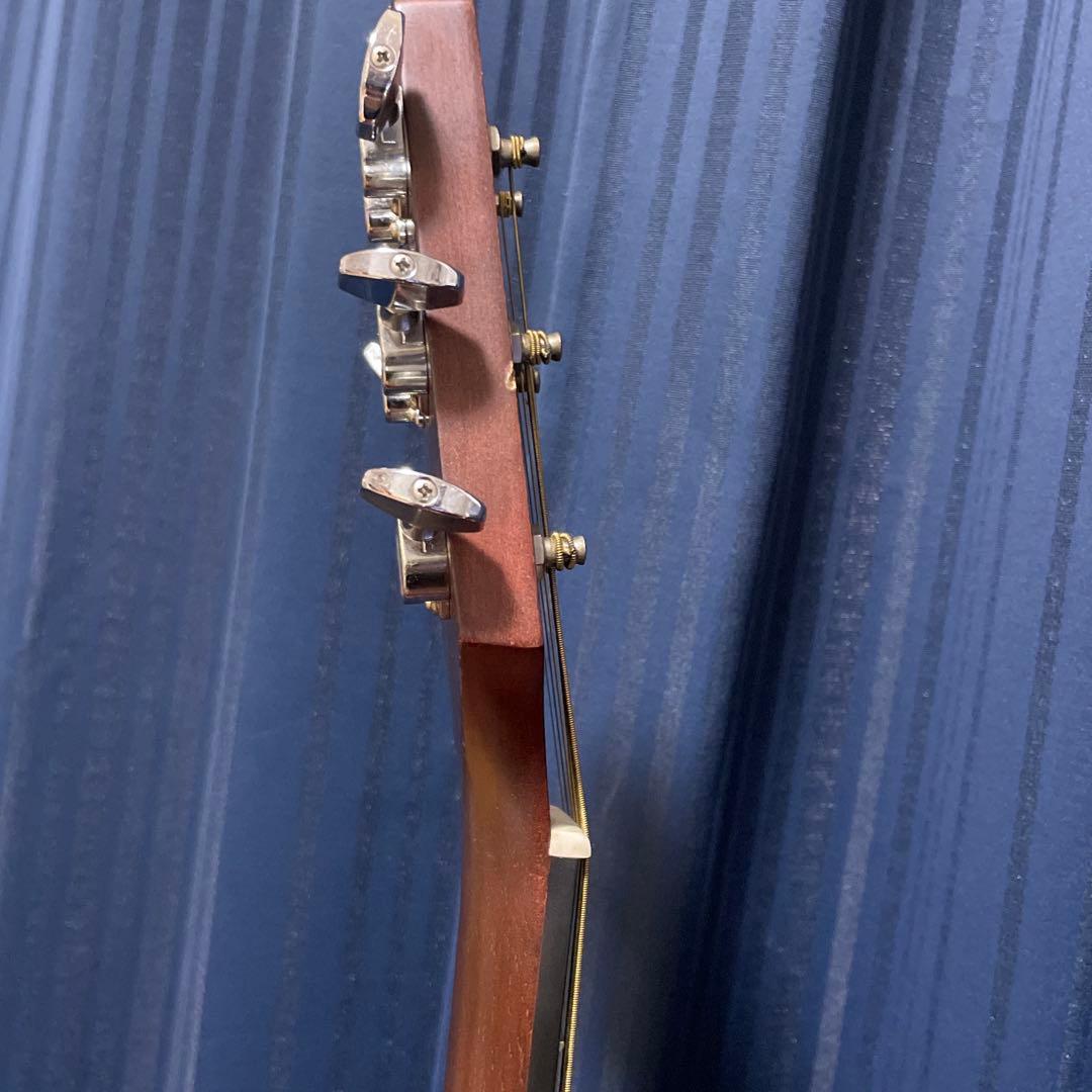 【最終値下げ】takamine ギター T-F2TBS ハードケース付き