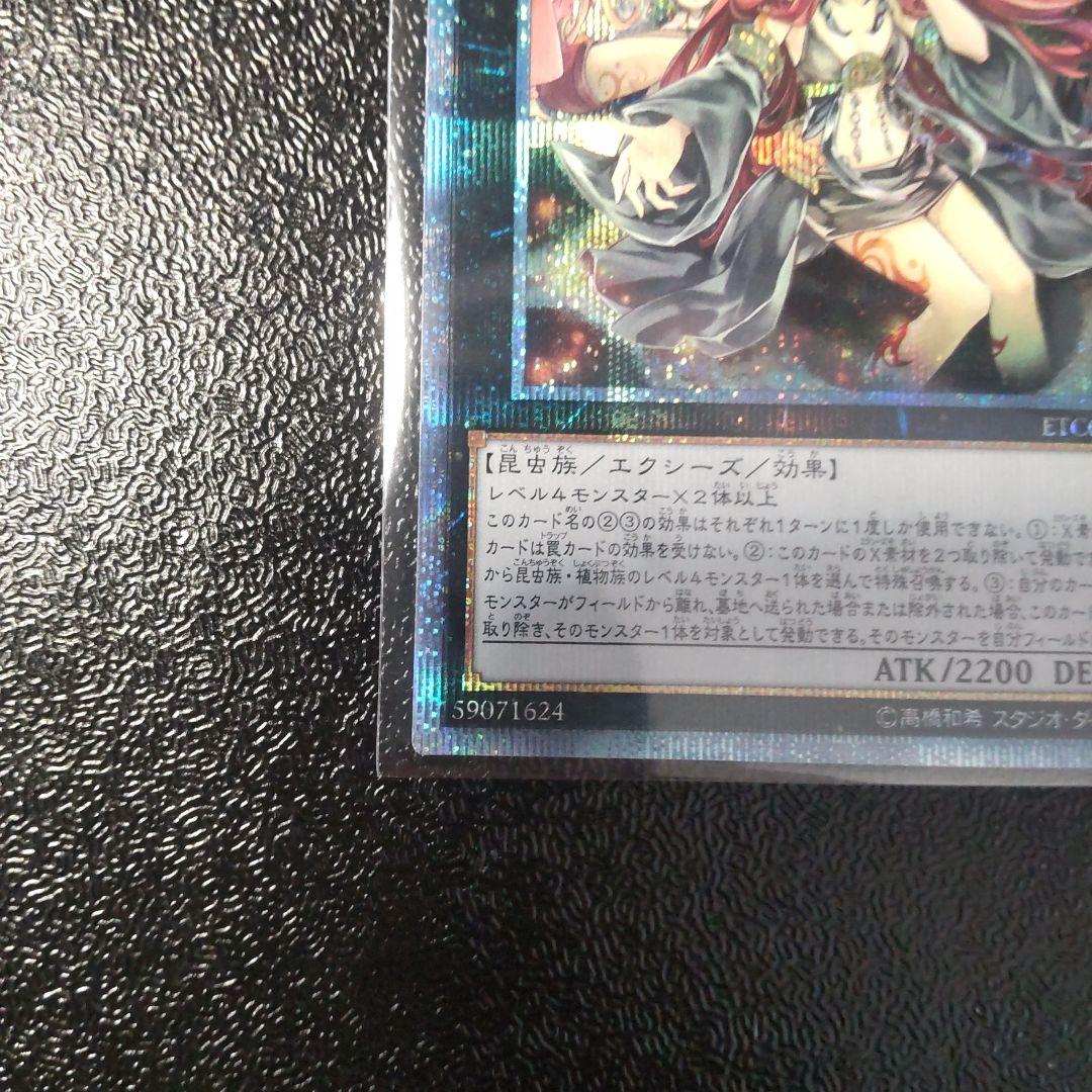 遊戯王　アロメルスの蟲惑魔 20thシークレット　極美品