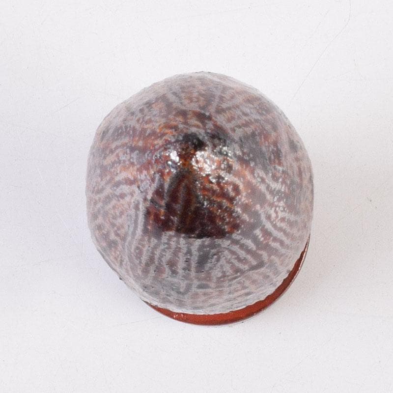 香道具　乾漆　香筒　在銘　共箱　V　R8995