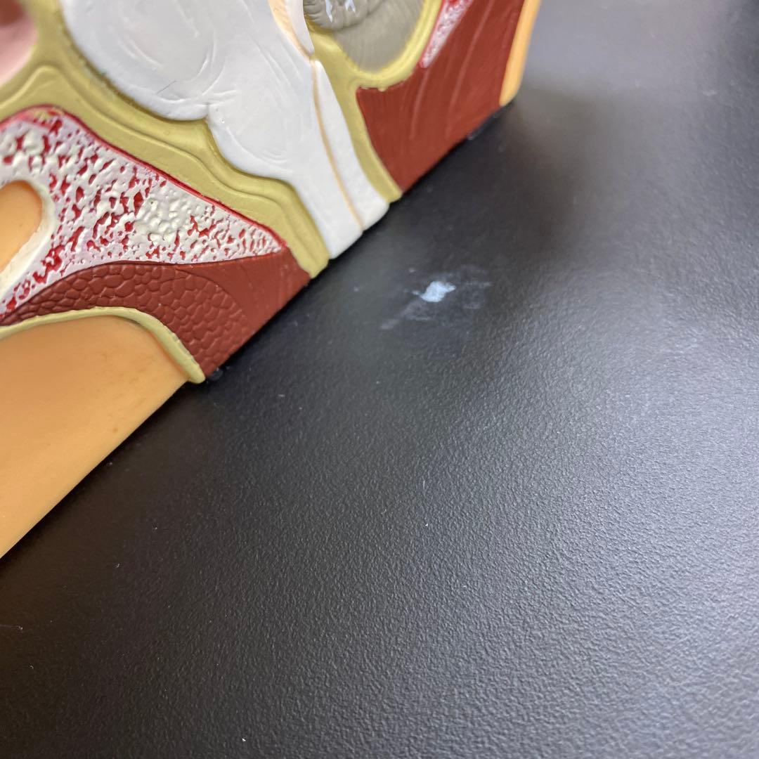 脳模型 約14cm x 20cm x14cm