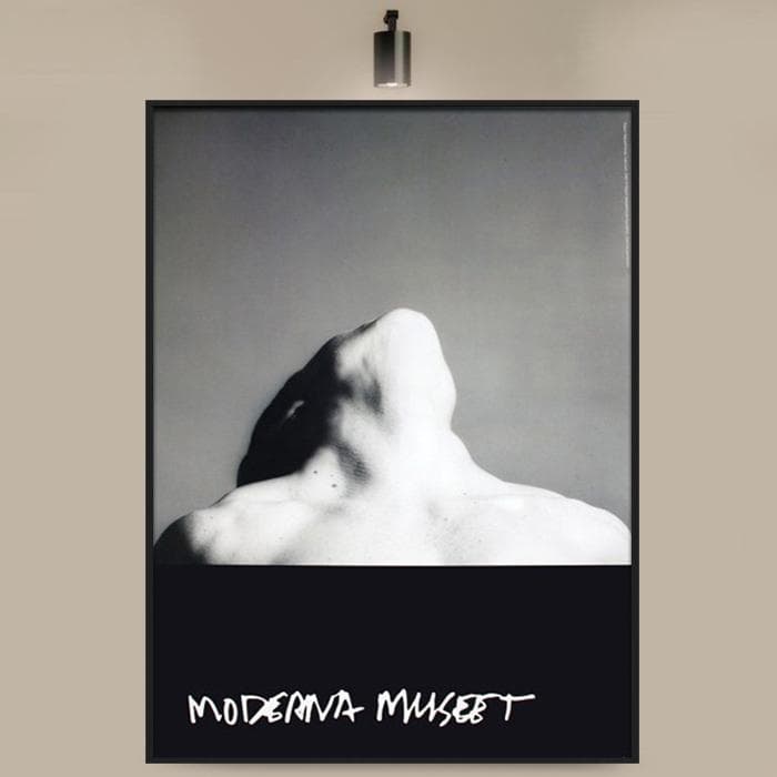 額装済/Lisa Lyon/ロバート メイプルソープ/インテリア/アートポスター