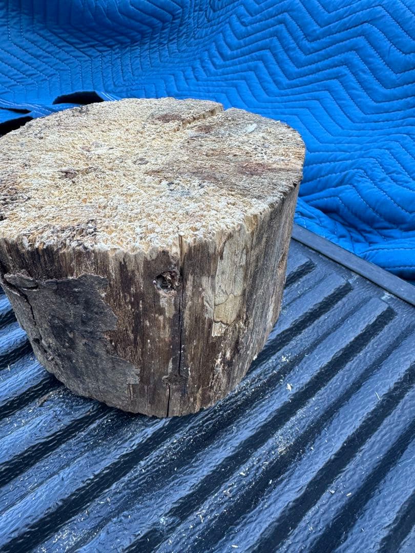 ベトナム材　VN材　13cm×20cm 産卵木