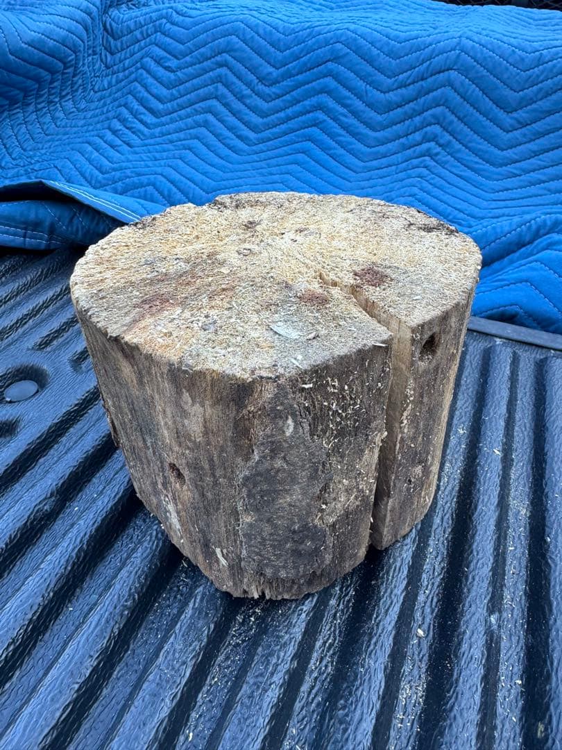 ベトナム材　VN材　13cm×20cm 産卵木