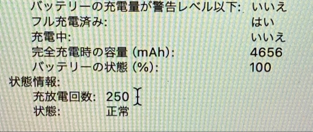 MacBook Pro シルバー 2019 256gb 13インチ　ジャンク