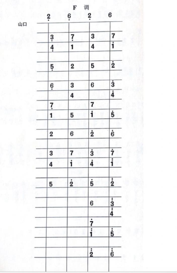 中国の民族楽器中阮 中元