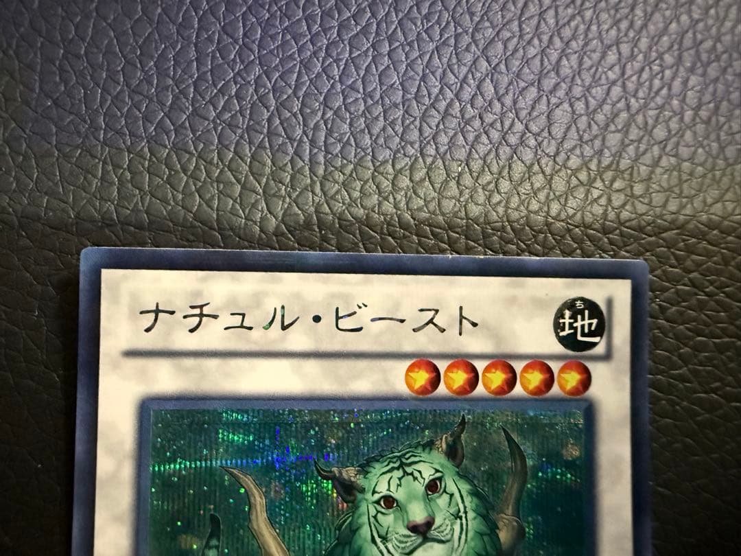 ナチュル・ビースト　dtc