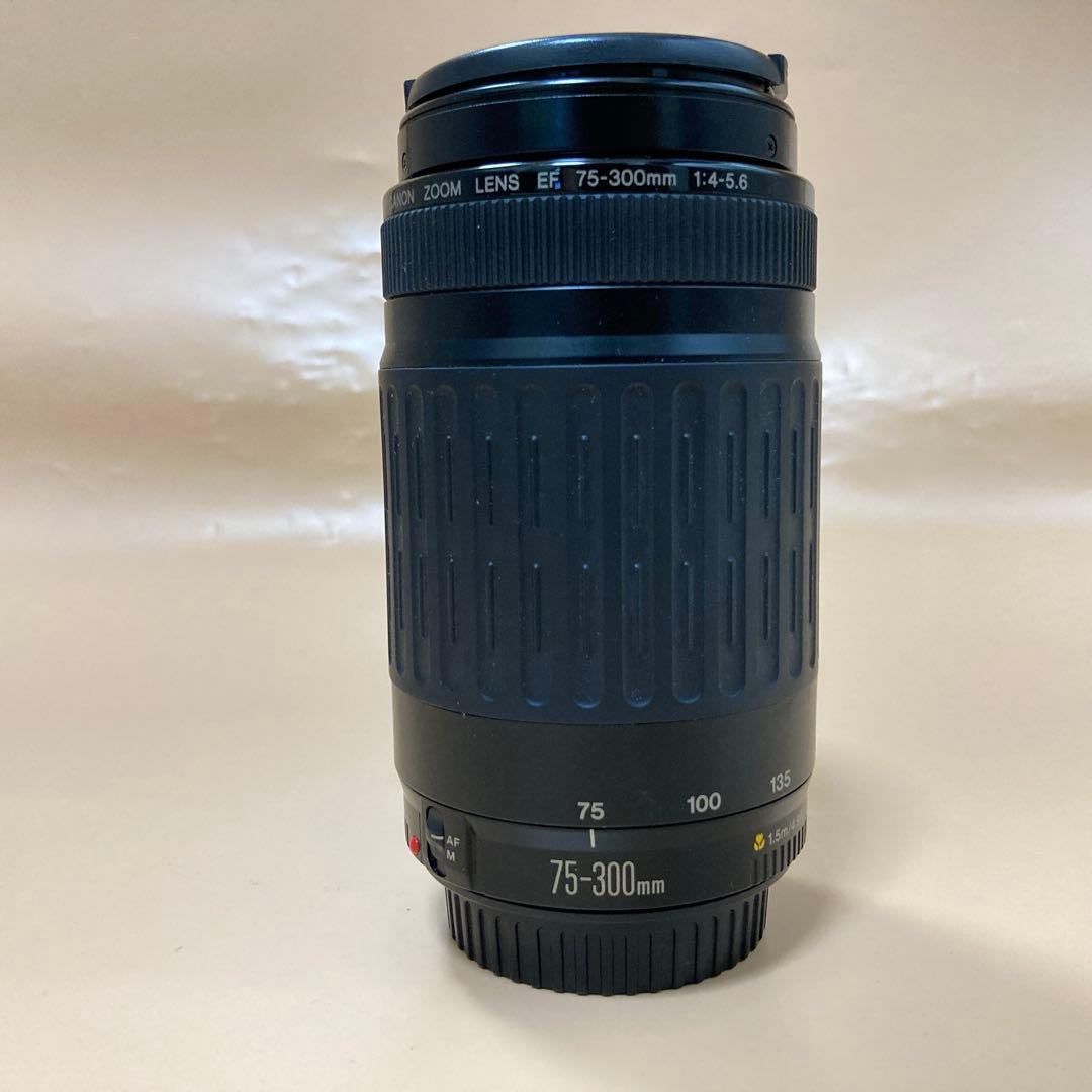 ★望遠レンズ★デジタル一眼レフカメラ Canon EF75-300㎜