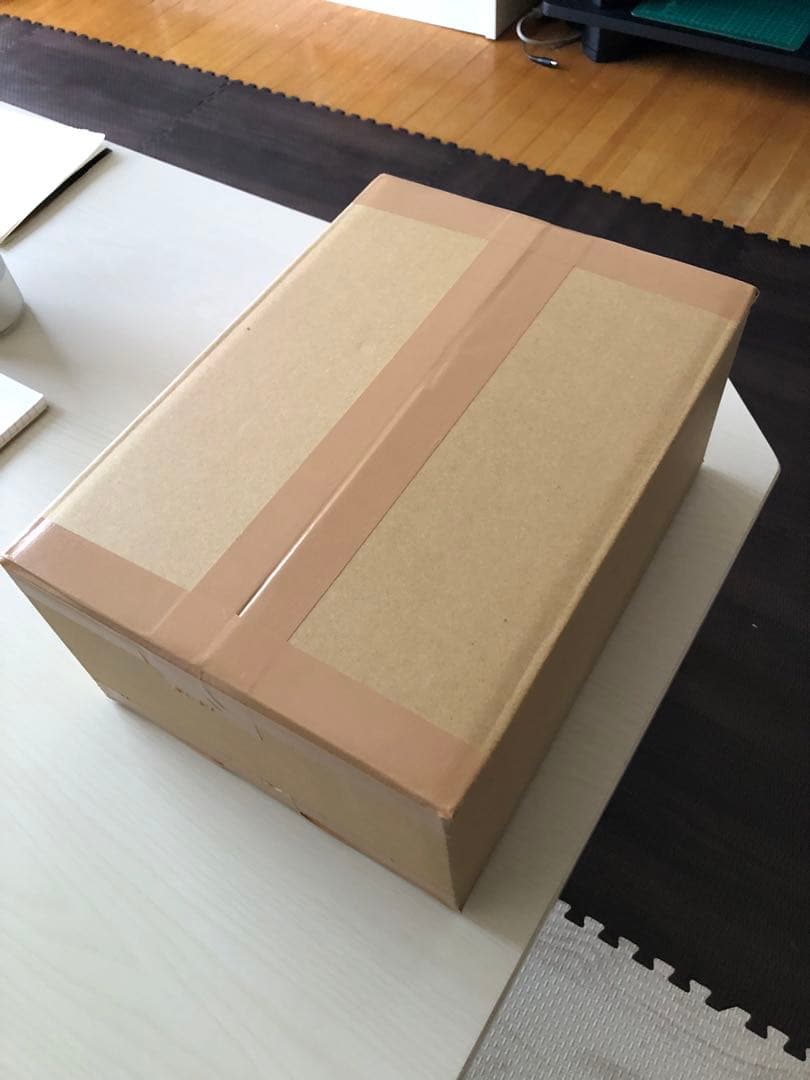 貴重阪神タイガースファン投げ入れサインボール