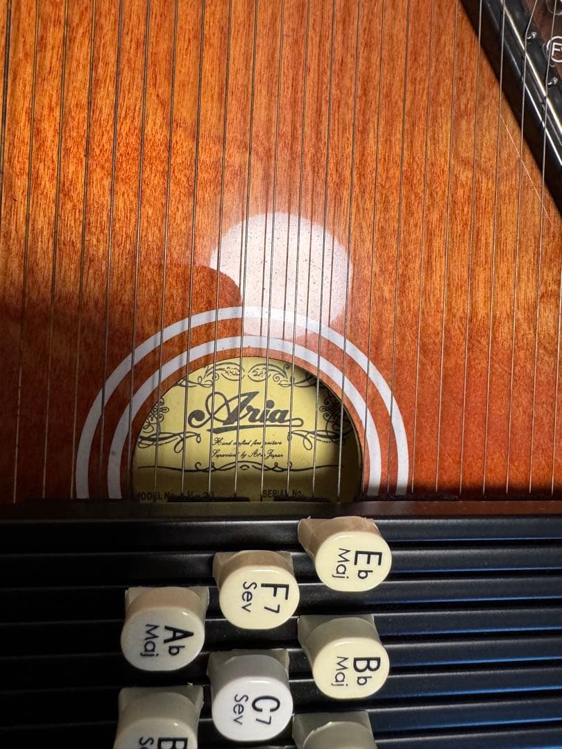 ARIR Cordaharp 21コード （オートハープ）