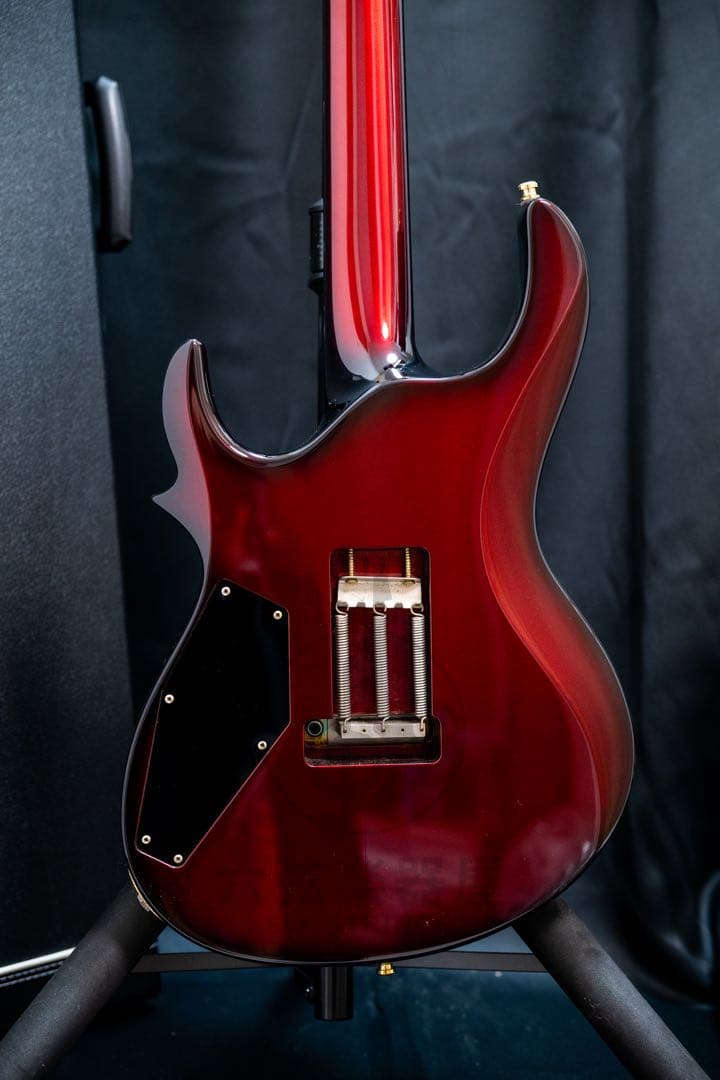 【ESP Japan】Maiden HIZAKI