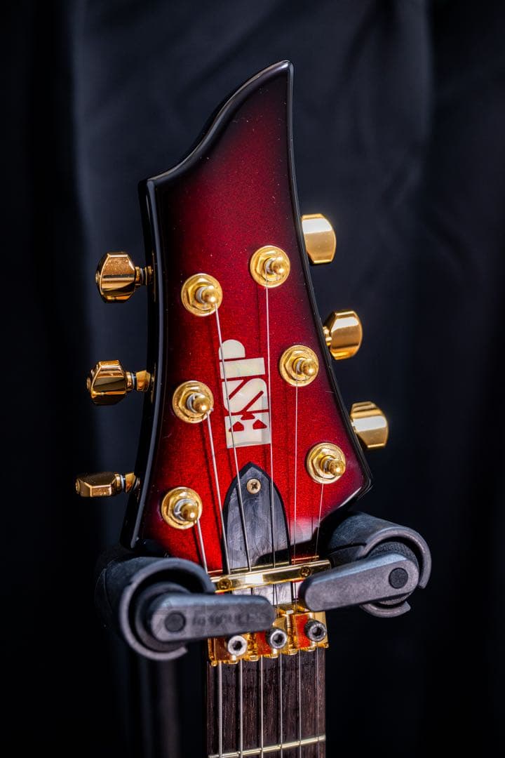 【ESP Japan】Maiden HIZAKI