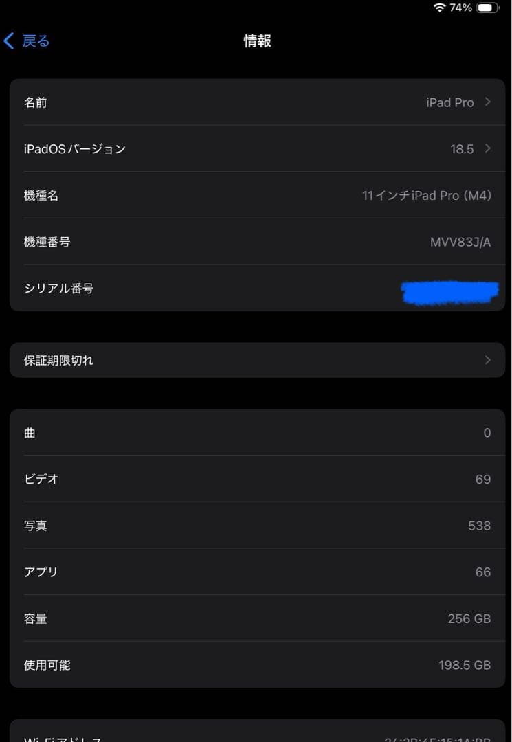 M4 iPad Pro/11インチ/256GB/スペースグレー/