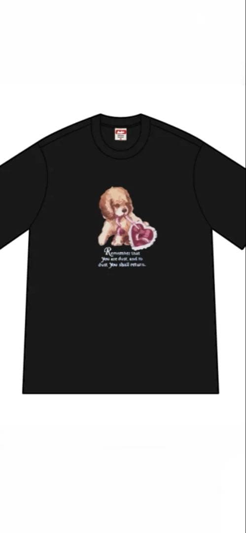 【新品】Supreme Dust Tee \"Black\" sizeＭ