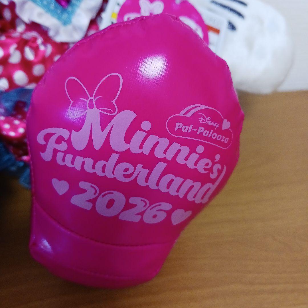 ミニーのファンダーランドのタグ付き　ぬいぐるみ　ミニーファン　2026