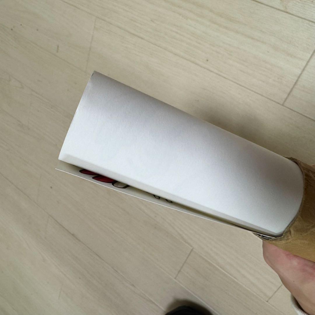 ハイスタ　新潟　ポスター