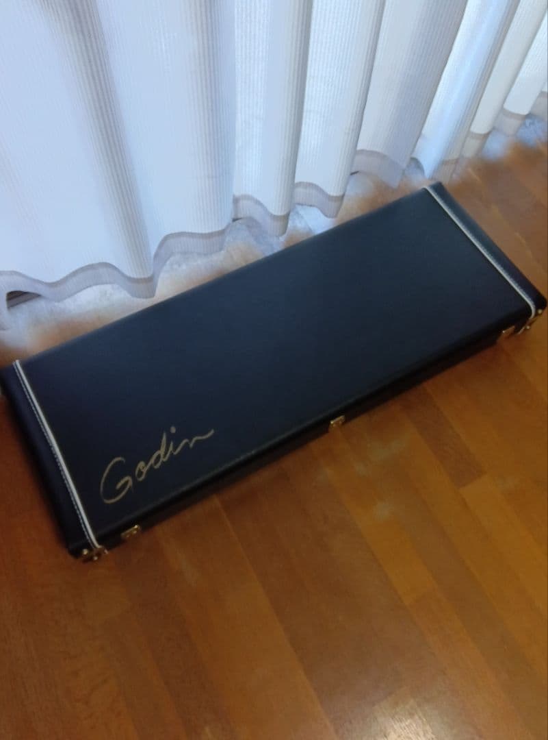 ゴダンギターケース