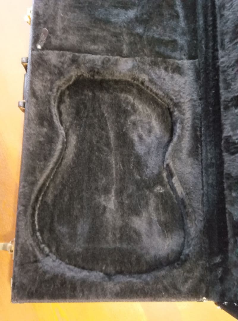 ゴダンギターケース