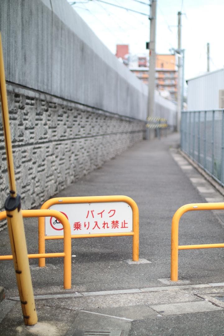 【完動品】Canon AE-1 Program NFD 50mm f/1.4