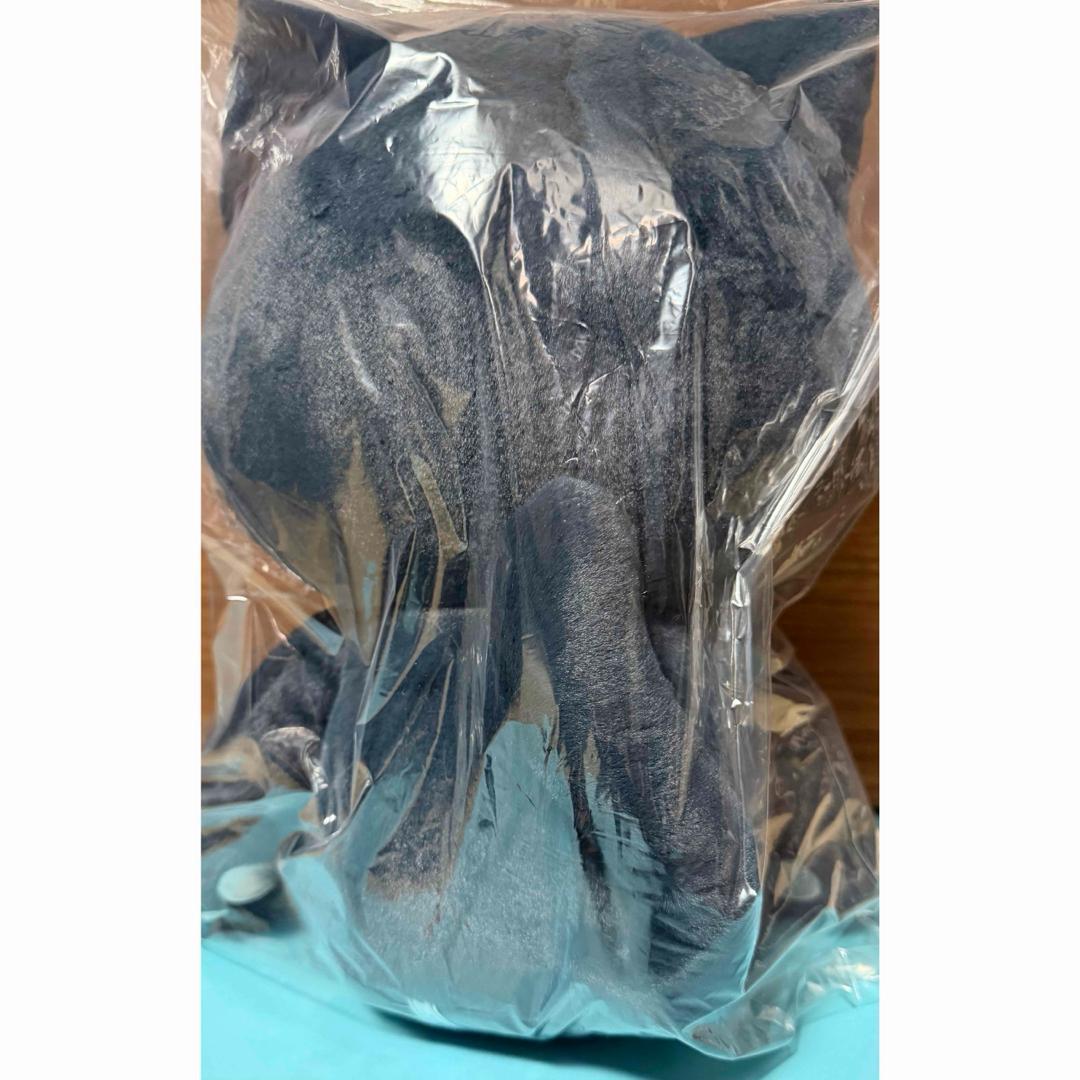 aespa エスパ カリナ 40cm ぬいぐるみ ドール